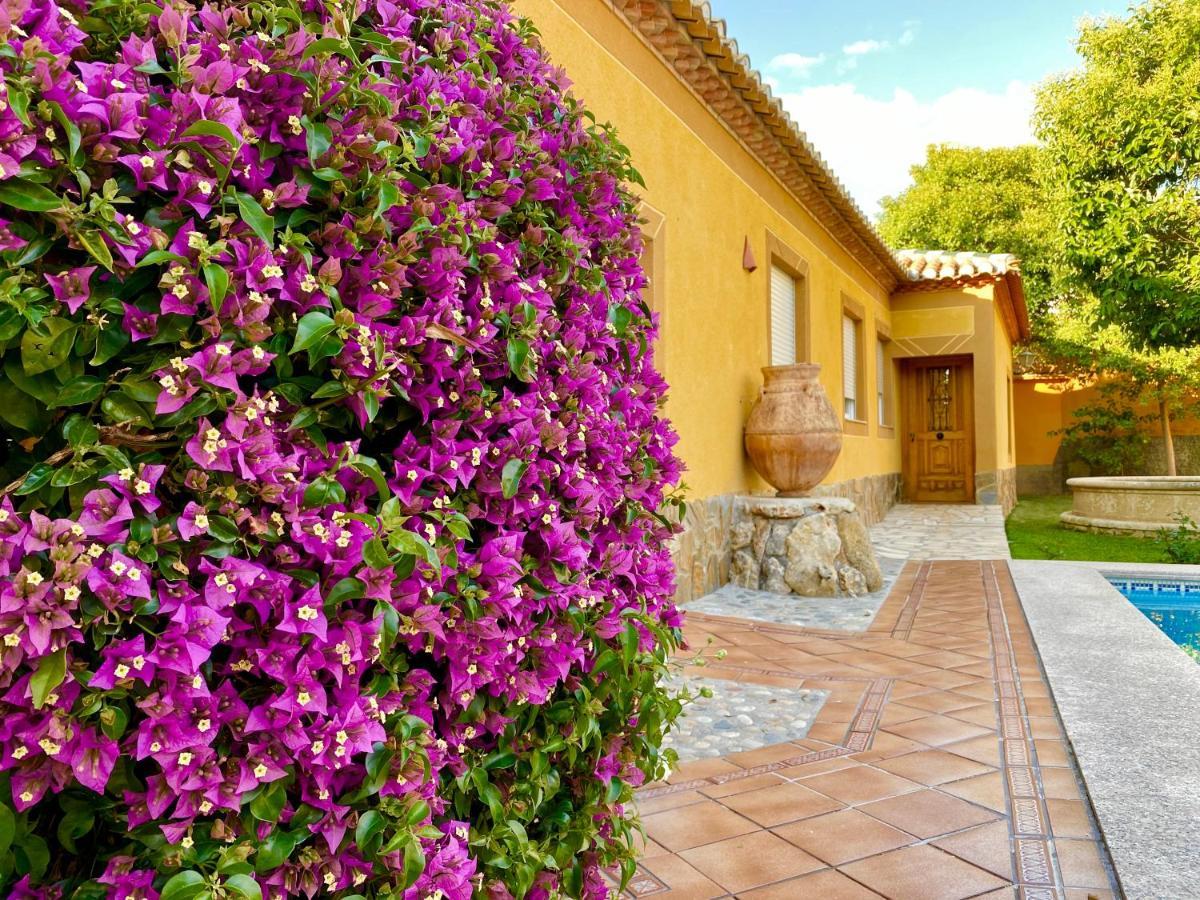 Casa Rural Via Del Tranvia La Zubia  Zewnętrze zdjęcie